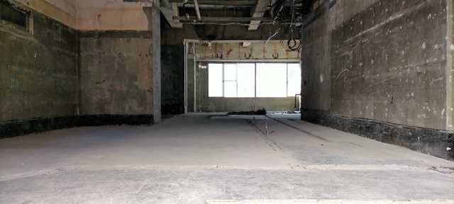 スケルトン解体